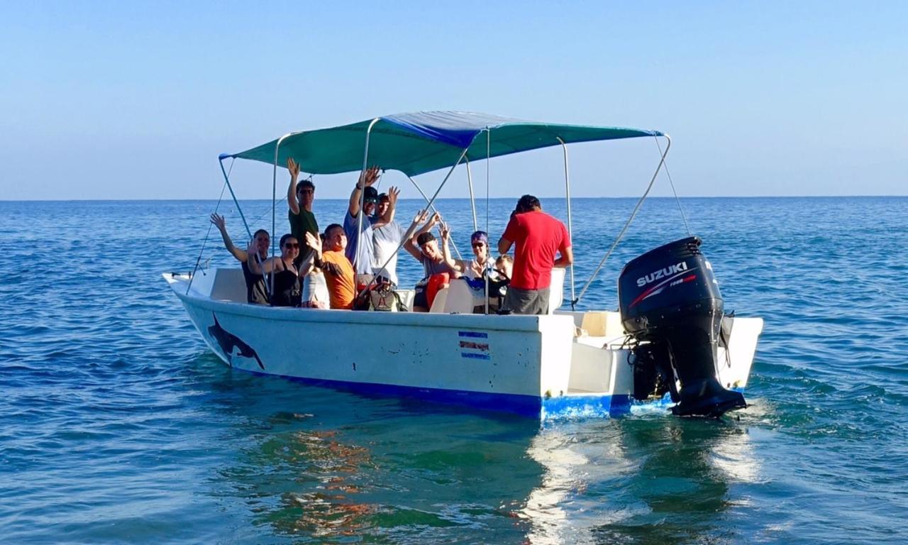 Corcovado Adventures Vandrehjem Drakes Bay Eksteriør billede