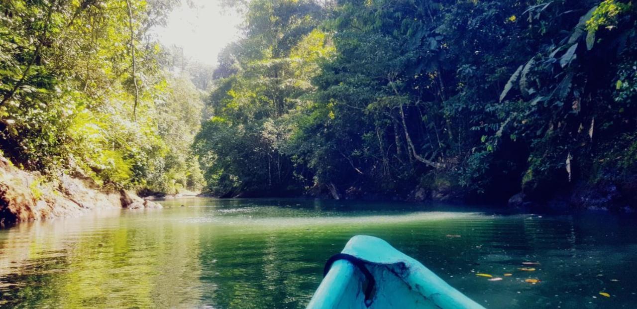 Corcovado Adventures Vandrehjem Drakes Bay Eksteriør billede