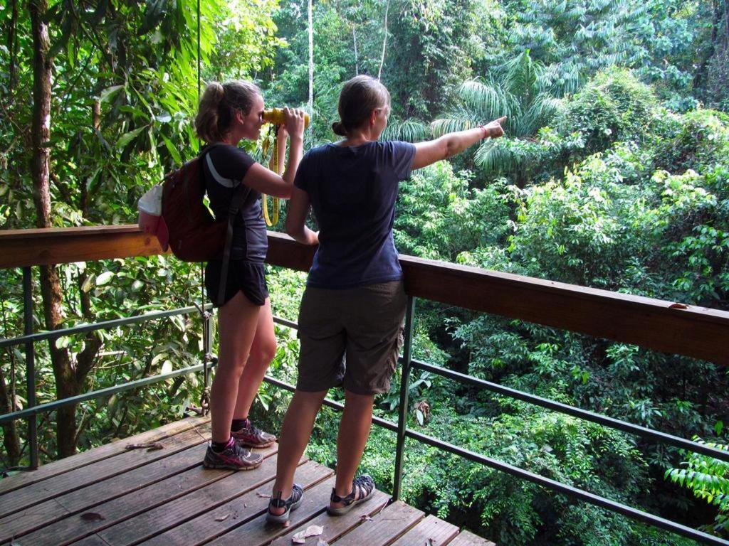 Corcovado Adventures Vandrehjem Drakes Bay Eksteriør billede